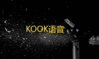KOOK语音